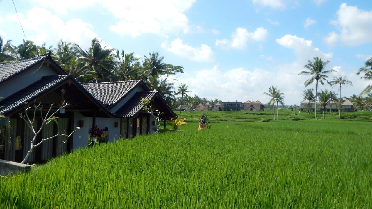 Amaya Cottage Ubud By Shm Ngoại thất bức ảnh