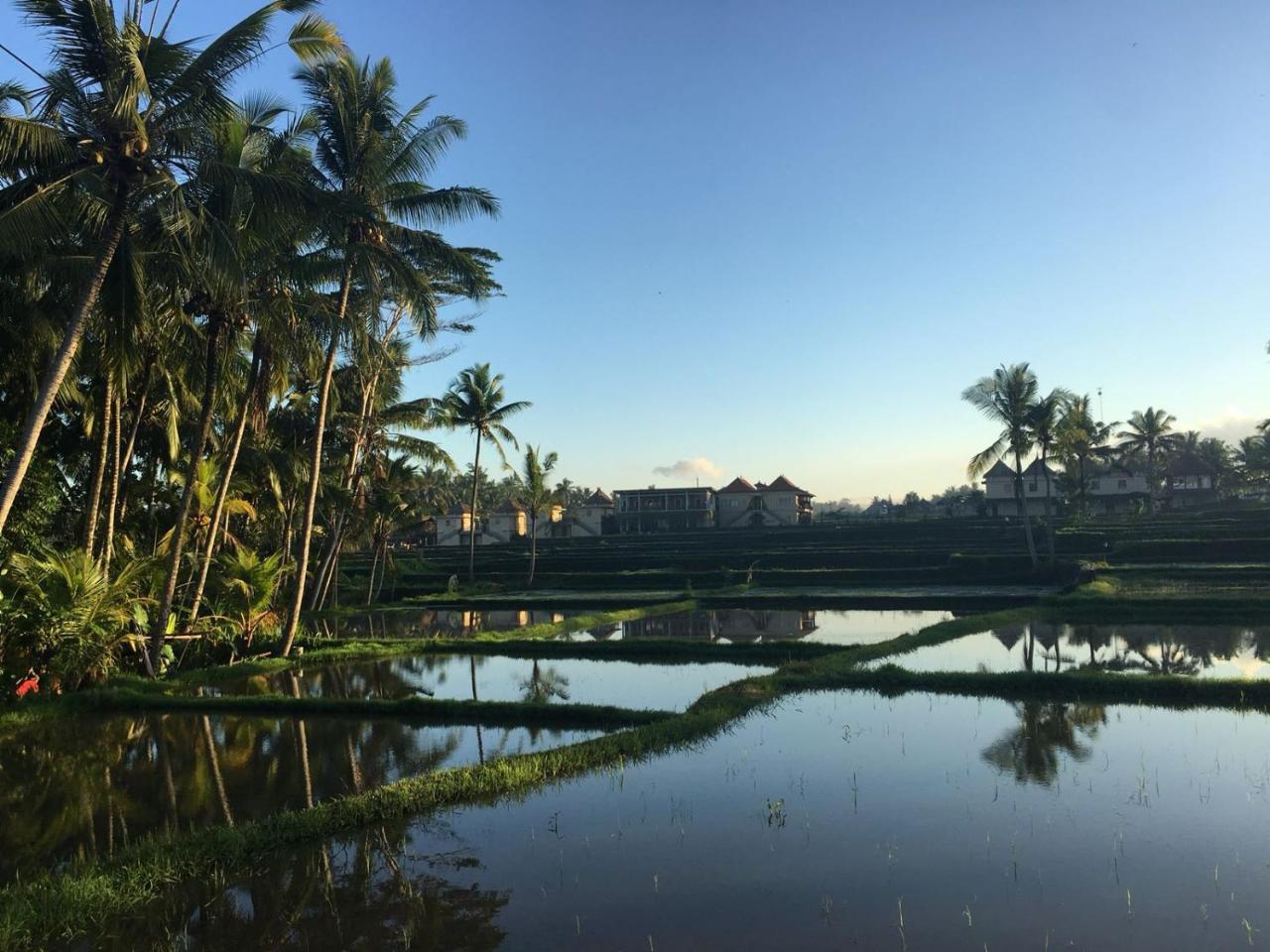 Amaya Cottage Ubud By Shm Ngoại thất bức ảnh