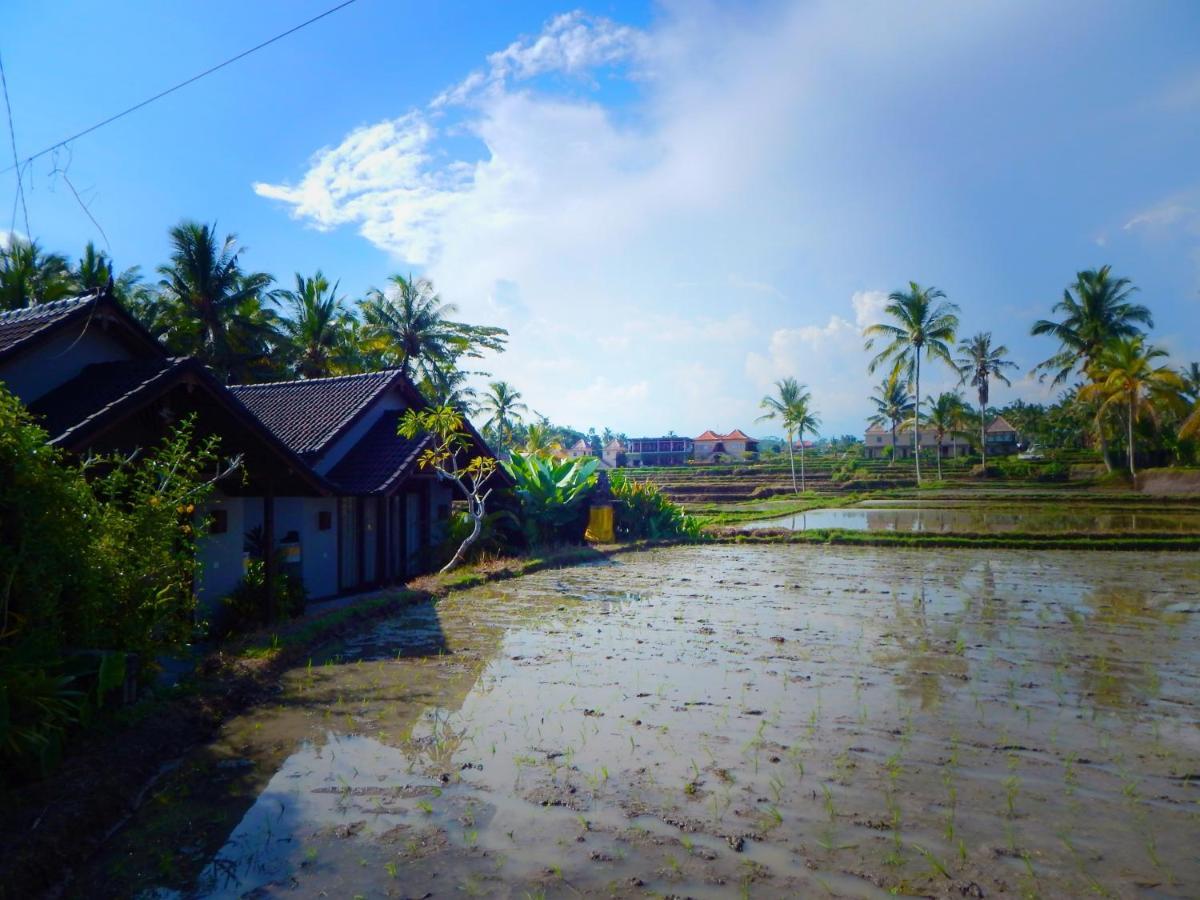 Amaya Cottage Ubud By Shm Ngoại thất bức ảnh
